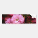 Recherche de spring voiture autocollants Nature