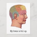 Recherche de cerveau cartes postales Crâne