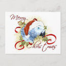 Recherche de noël africain cartes postales Oiseau