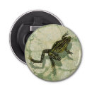 Recherche de grenouille ouvre bouteilles Vert