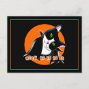 Recherche de chat vampire invitations Chats