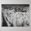Recherche de toscane art Blanc