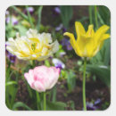 Zoek naar witte tulpen stickers Bloem
