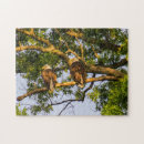 Recherche de aigles puzzles Anniversaire