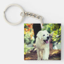 Zoek naar kleine honden sleutelhangers Natuur
