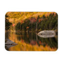 Recherche de étang magnets Forêt