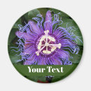 Recherche de macro de fleur magnets Violet