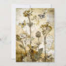 Zoek naar herbarium posters Natuur