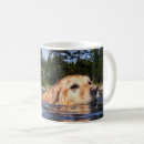 Recherche de joint tasses Chien
