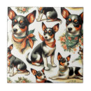 Recherche de rat carreaux Dog