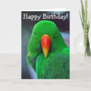 Recherche de parrot birthday Pour tous