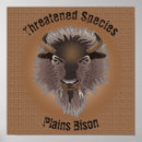 Recherche de bison posters Bison des plaines