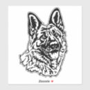 Recherche de pelage Dogs