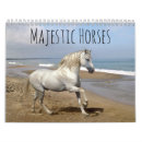 Recherche de étalon bureau fournitures Poney