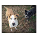 Recherche de mut posters Pour tous