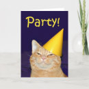 Recherche de chat de gingembre invitations Tabby