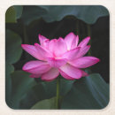 Recherche de fleur lotus dessous de verres Floral