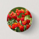 Recherche de fleur rouge badges Conception