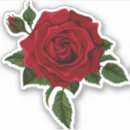 Recherche de fleurs rouges voiture autocollants Floral