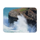 Recherche de océans magnets Hawaii