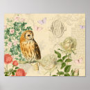 Recherche de petit hibou posters Rose