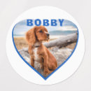 Recherche de vinyle animaux articles Animal