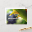 Recherche de millie cartes postales Motivation