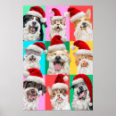 Zoek naar grappige vakantie posters Kerst