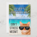 Recherche de cool cat vœux cartes Funny cat birthday