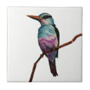 Zoek naar leven tegels Dieren