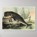 Recherche de baleine vintage art Bleu