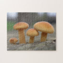 Recherche de macro puzzles Nature