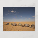 Recherche de nord africain cartes postales Chameau