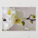 Recherche de hochzeit invitations Einladung