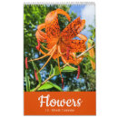Recherche de fleurs calendriers Fleur sauvage