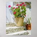 Zoek naar rode geranium posters Waterverf