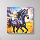 Recherche de cheval noir toiles Équestre