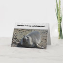 Recherche de phoque vœux cartes Animal marin