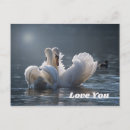 Recherche de lac des cygnes cartes postales Pour eux