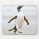 Zoek naar penguin muismatten Humor