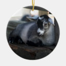 Recherche de ornement de chèvre ornements Animal