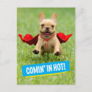 Recherche de superhéros cartes postales Fun