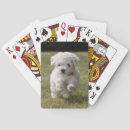 Recherche de frise jeux de cartes Chien