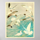 Recherche de oiseaux marins posters Nature