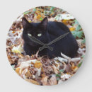 Recherche de black cat horloges Chat