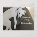 Recherche de somnolent cartes postales Adorable