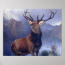 Recherche de cul art Animal