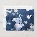 Recherche de méduses cartes postales Animal