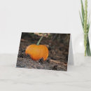Recherche de pomme de pin vœux cartes Pour tous