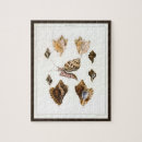 Recherche de mollusque puzzles Plage